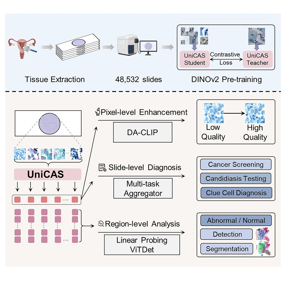 2025_CRM_UniCAS.jpg